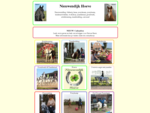 De Nieuwendijk Hoeve - Pensionstalling voor paarden en pony's midden in het rustieke landschap van