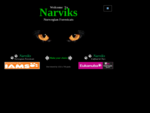 Narviks Norwegian Forestcats Narviks Noorse Boskatten