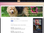 Norwich Terrier - Von den zwei Eichen & Wild Devils