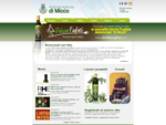 olio di oliva extravergine puglia dop olio di oliva pugliese biologica aromatizzato estrazione estra