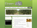 Eleones of Chalkidi - Company who expertising in production, processing and marketing of olive prod