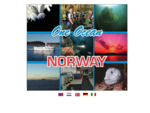 One Ocean Dive Center Norway