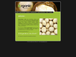 organic healthy nut organic australian macadamia nuts