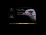 Ostrichland - homepage