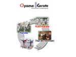 Oyama Karate - Kyokushinkai Karate und Thai Bo in Langenlebarn - Österreich