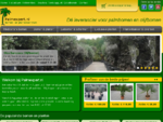 Winterharde palmbomen en olijfbomen in Nederland van Palmexpert