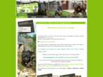 Pat o' Cou - Pension canine et élevage de chiens - Lot (46)
