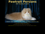 Pawtrait Persians New Zealand breeder of Persian Cats