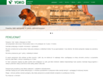 Pensjonat i lecznica dla zwierząt YOKO w Warszawie -