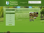 Achat de plantes près de Liège en Belgique Pépinières Saint-Jean - Accueil - Arboriculteur et