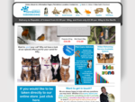 Home online pet shop selling pet food and pet accessories