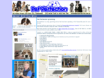 Pet Perfection Dog Grooming Toowoomba