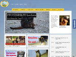 Tierheim Pfotenhilfe - Tierschutz für Hunde, Pferde, Katzen