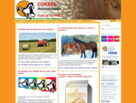 Piensos Covaza | Alimentación saludable de caballos | Piensos de calidad para caballos| Consejos