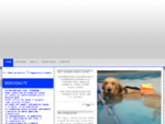 Swimming Dogs - Piscina per cani