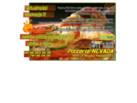 PIZZERIA NEVADA TORUŃ - Pizza na telefon przez Internet ONLINE!
