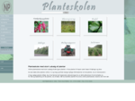 Planteskole - kà¸b planter her. Online salg af planter