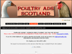 Poultry Scotland Highlands Islands - Poultry Ads Scotland - Poultry for Sale Wanted Scotland