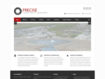 Precise Consulting Home