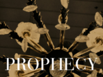 PROPHECY HAIR - Cut and Colour Specialists - Fitzroy Melbourne Hair Salon - Fitzroy Smith Street, H