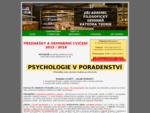 Psychostudium. cz Poradenská psychologie