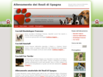 Allevamento Bassotto, American Staffordshire, Bouledogue Francese, Fox Terrier - Puglia, Lecce