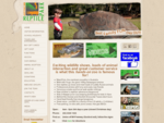 Australian Reptile Park, Central Coast, NSW | Fun, Adventure and Educational for all the Family