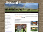 Rocking M Paint Horses - Home Page