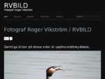 Fotograf Roger Vikström l RVBILD Stockholm Sweden l Naturfotograf