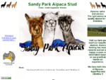 Sandy Park Alpaca Stud Farm, VIC - Quality Alpacas for Sale