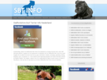 Staffordshire Bull Terrier Info Nederland