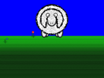 Willkommen beim Schaf