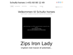Schultz Horses | Træning | Avl og Salg af Paint heste