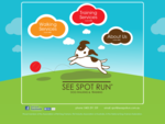 See Spot Run | Accredited Puppy Dog Walking Training | Mosman, Cremorne, Cammeray, Neutral Ba