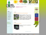 Sica, production de légumes et horticulture en Bretagne | accueil