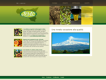 SOAL - Azienda olearia, produzione olio extravergine di oliva