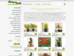 Vendita piante online - Le migliori piante ornamentali da esterno direttamente a casa tua! - ...