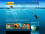 Sorrento Diving Futuro Mare - Diving, snorkeling, escursioni sopra e sotto il mare, consulenza ed
