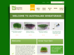 AUSTRALIAN WHEATGRASS | Organic Seeds | Cold Press Juicers | Sprouters