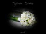 Reproma Kreativ Prešov - svadobná výzdoba, svadobná kytica, svadobná ikebana, saténové návleky,