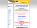 Thunderbird Slot Racing - NSR, Ninco and Scalextric 132 scale slot car specialists