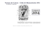 Torneo Calcio a 7 | Cittaacute; di Monestirolo