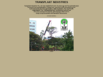 Transplant Industries Mature Tree Transplanters Large Tree Removals and Transportation NS