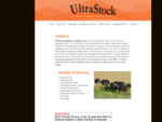 UltraStock - Ultrasound Pregnancy Testing Services for Cattle