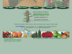 Vivai Borgato - azienda vivaistica piante da frutta, rosai, frutticultura