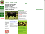 European Wagyu Cattle at Altembrouck