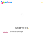 Web Design Company Sydney - Web Now Website Design, Hosting