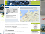 Informations-, Presse- u Handelsportal der Weinbranche, Reportagen, Weinfachwissen