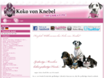 Koko von Knebel - every dog is a star...
