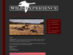 Wildexperience -